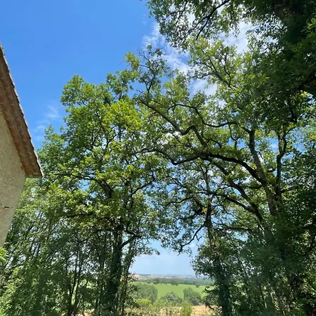 Au Calme Dans Un Bois De Chene Prázdninový dům *