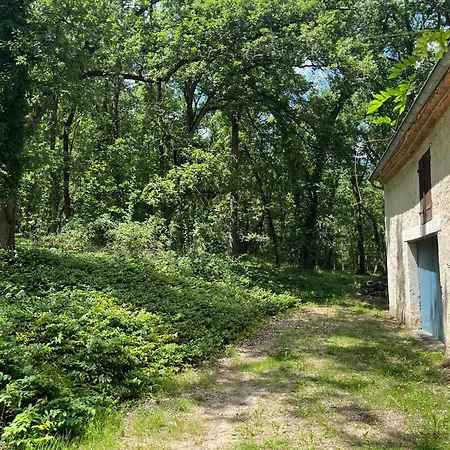 Au Calme Dans Un Bois De Chene