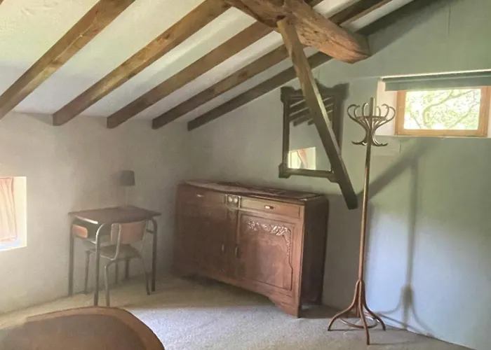 Au Calme Dans Un Bois De Chene *