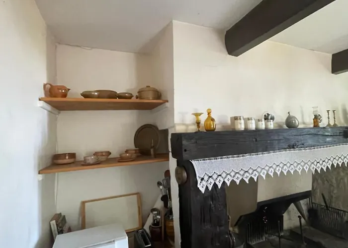 Au Calme Dans Un Bois De Chene *