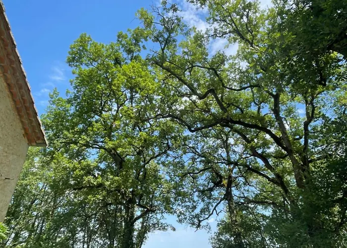 Au Calme Dans Un Bois De Chene בית נופש *