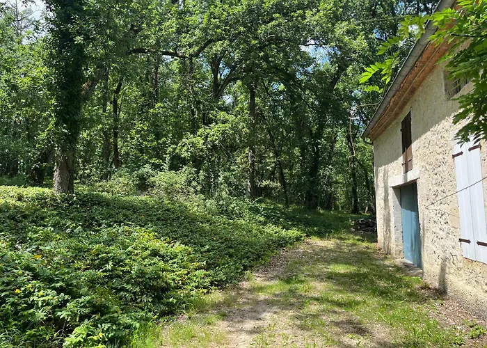 Au Calme Dans Un Bois De Chene