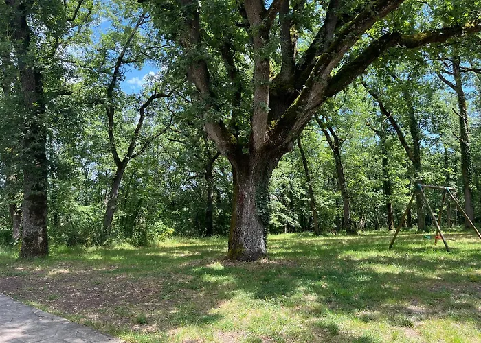 Au Calme Dans Un Bois De Chene בית נופש